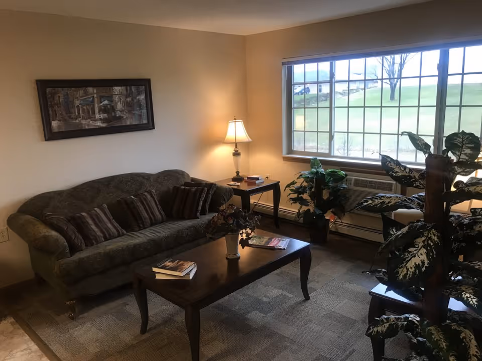 A cozy living room with a green patterned sofa adorned with striped cushions, a wooden coffee table with books and a flower vase, a side table with a lamp, and large window letting in natural light. There are several potted plants near the window and a framed painting on the wall.