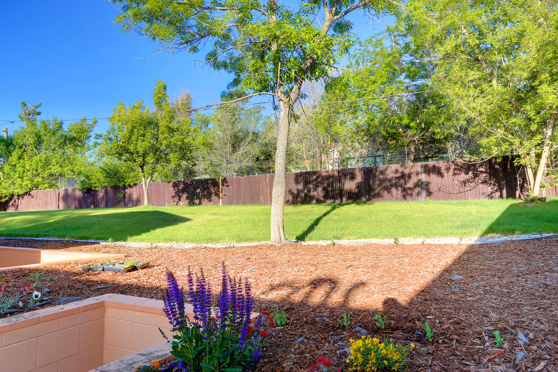Sunny landscaped yard with a grassy slope, trees, a wooden fence, and flower beds in the foreground.