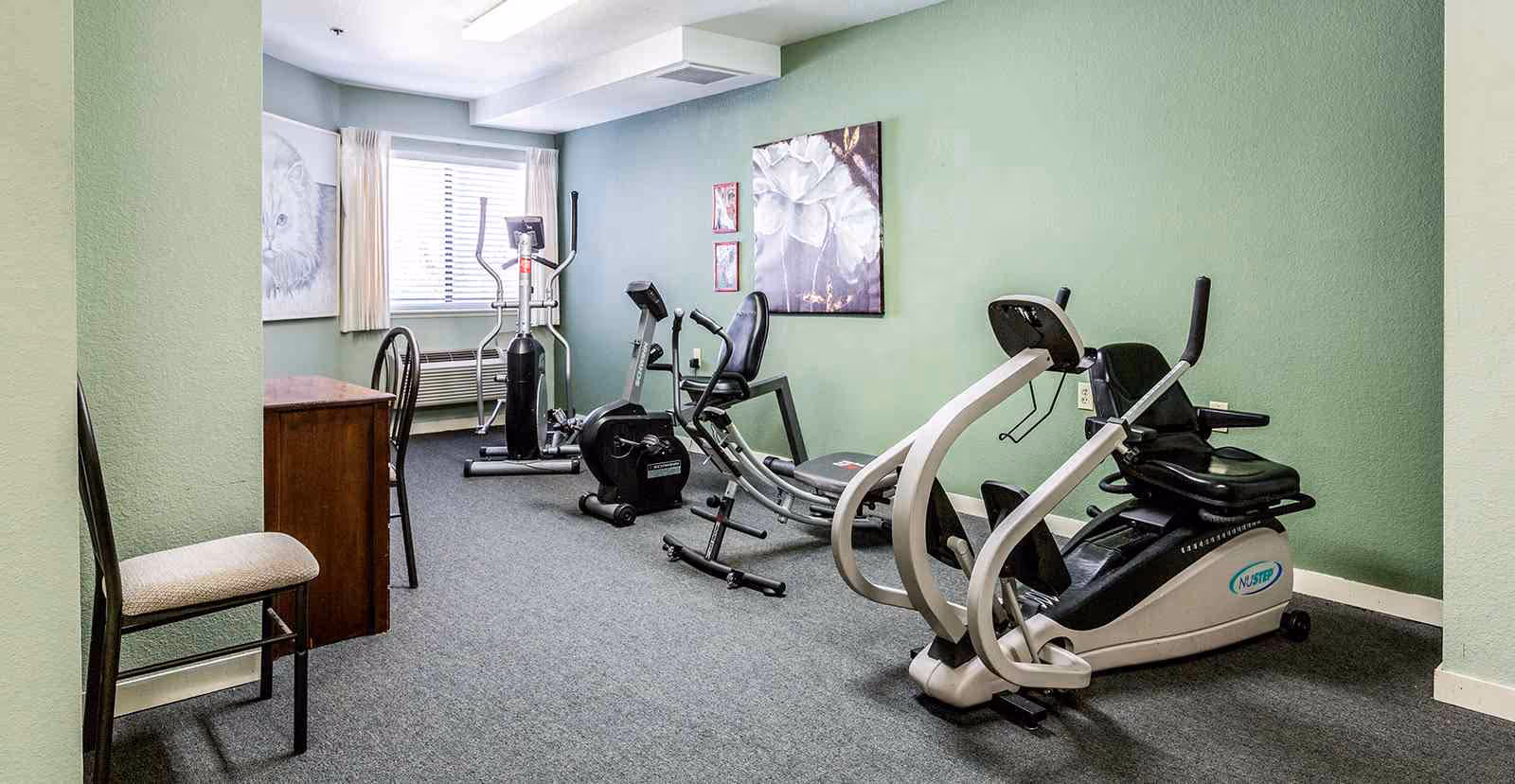 A small exercise room with green walls and carpeted floor containing various fitness equipment including a recumbent exercise bike, an elliptical machine, and a rowing machine. There is a wooden desk with two chairs on the left side near a window with white curtains. Artwork featuring flowers and a cat is hung on the walls.