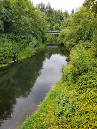 A calm river flowing through a lush green forest with dense trees and bushes on both sides. A small bridge spans the river in the distance under an overcast sky.