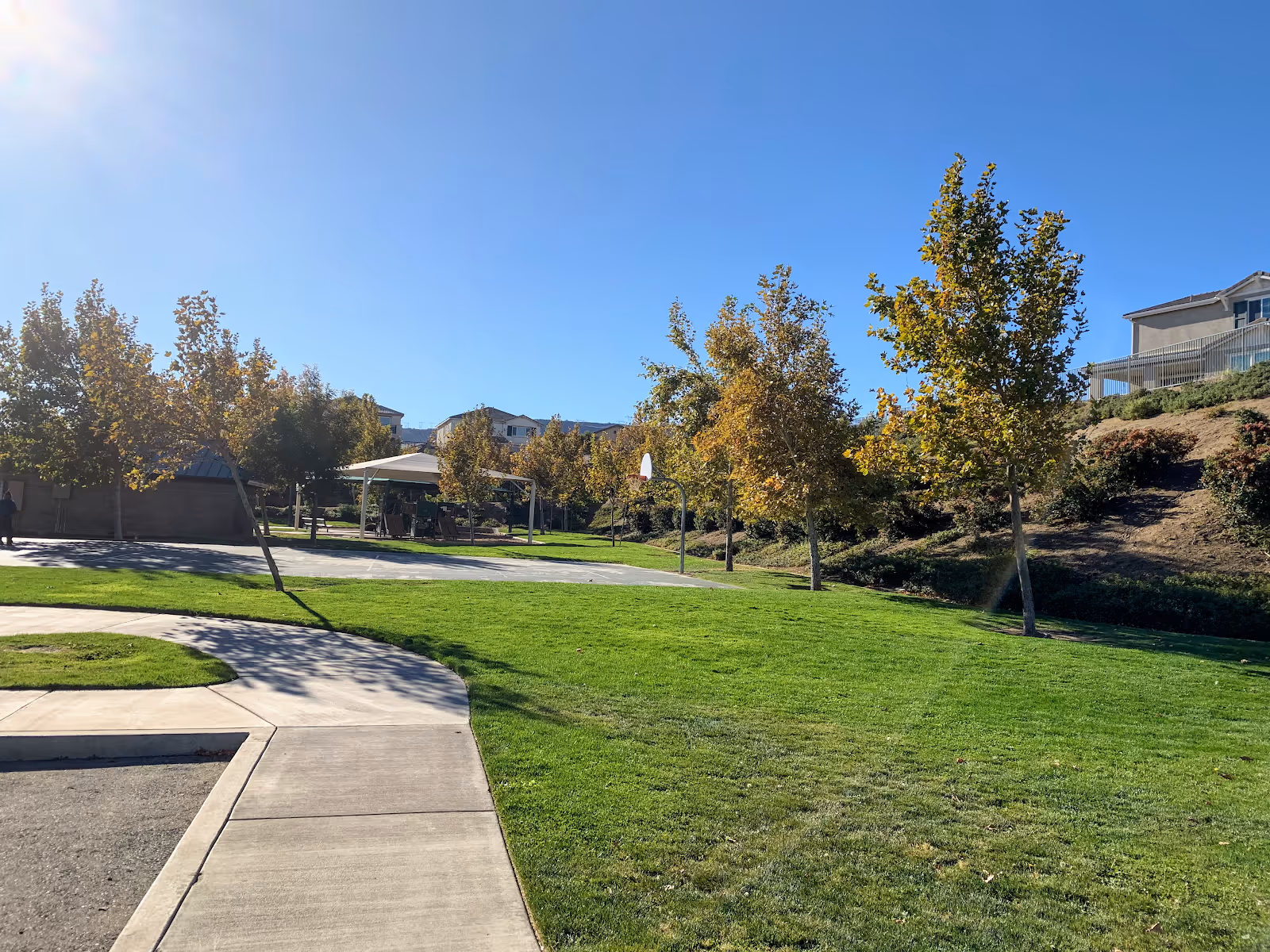 A sunny outdoor area with a well-maintained green lawn, several trees with autumn-colored leaves, a concrete pathway, a basketball hoop, and a covered seating area in the background. Residential buildings are visible on a hill in the distance under a clear blue sky.