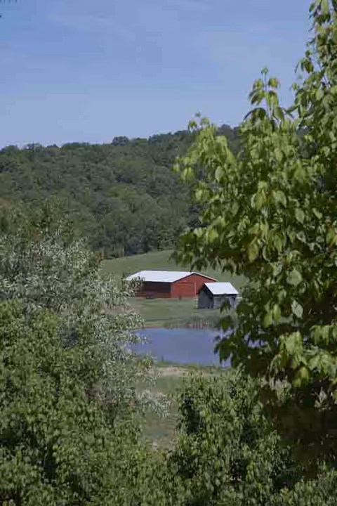A scenic outdoor view featuring a small pond surrounded by green trees and grass, with two red barns in the background and forested hills under a clear blue sky.