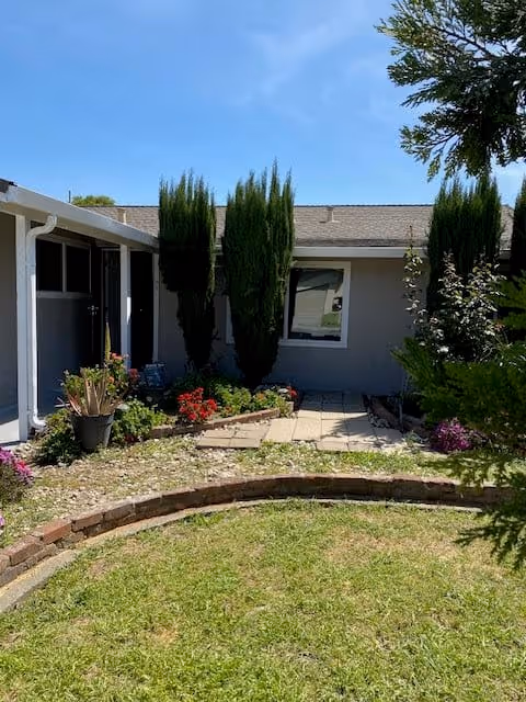 A sunny outdoor garden area with a curved brick border surrounding a grassy lawn. There are various plants and flowers along the edges, including tall, narrow evergreen trees near a light gray building with a window and a covered walkway.