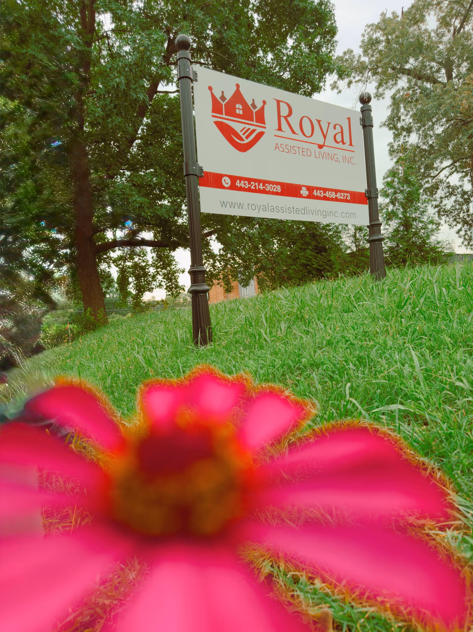 A sign for Royal Assisted Living, Inc. is displayed on a grassy hill with trees in the background. The sign includes a red logo with a crown and house, contact phone numbers, and the website www.royalassistedlivinginc.com. A large pink flower is prominently blurred in the foreground.