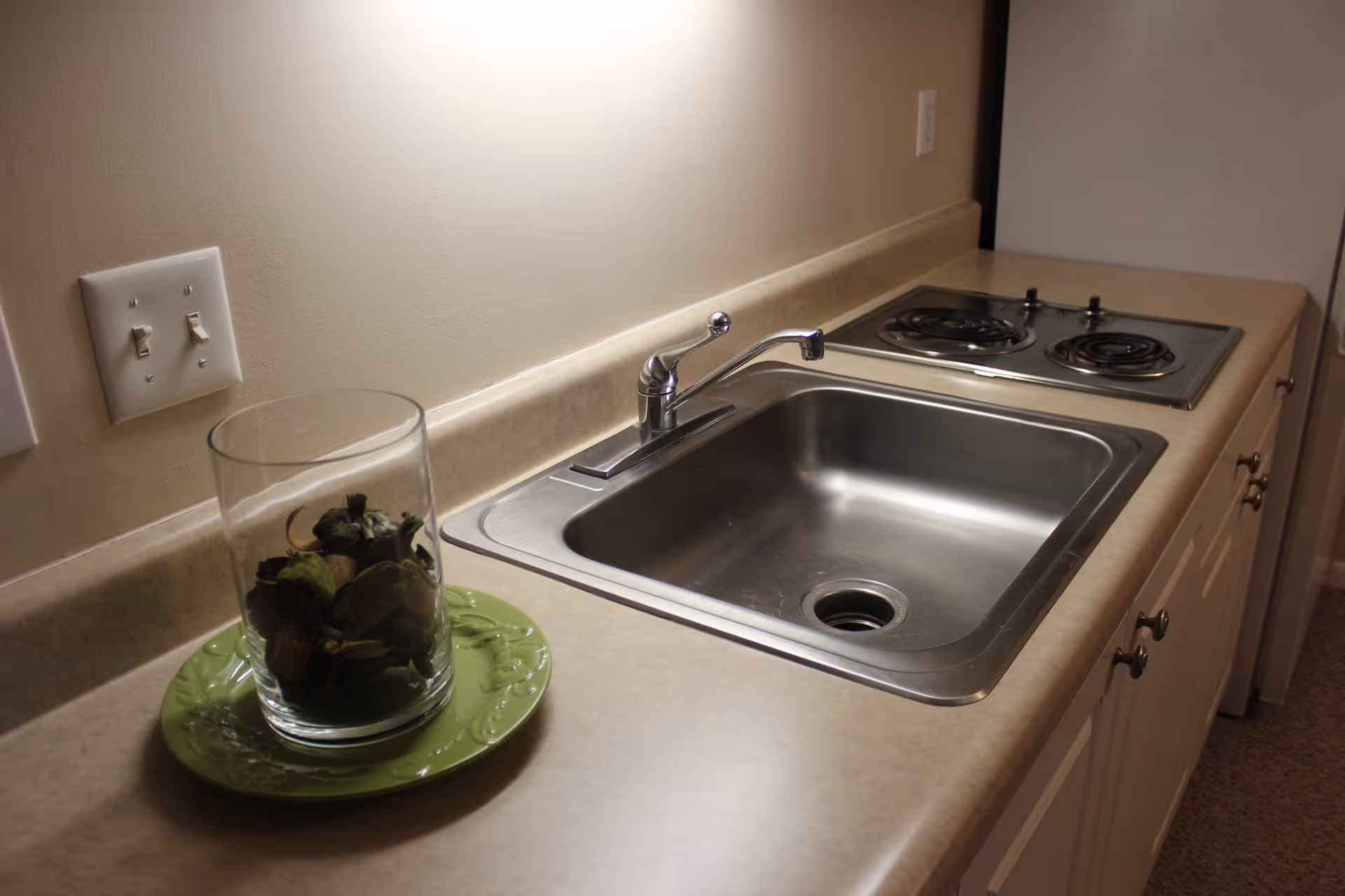 A kitchen countertop with a stainless steel sink and a two-burner electric stove. On the left side of the counter, there is a glass container filled with decorative dried plants placed on a green plate. The wall behind the counter has two light switches.