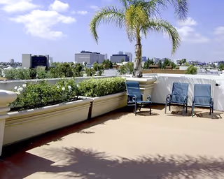 Outdoor patio area with a large potted palm tree, three blue chairs, and a planter box filled with greenery. In the background, there are buildings and a partly cloudy sky.