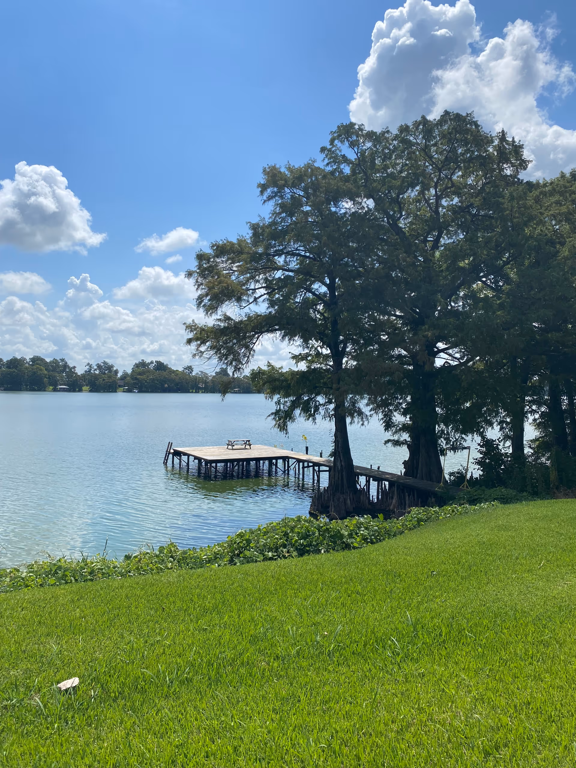 A peaceful lakeside scene with a wooden dock extending over calm water. There is a bench on the dock and large trees providing shade near the shore. The sky is blue with scattered clouds, and the foreground features a well-maintained grassy area.