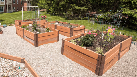 Raised wooden garden beds with young plants and decorative stakes on a gravel courtyard next to a lawn and building.