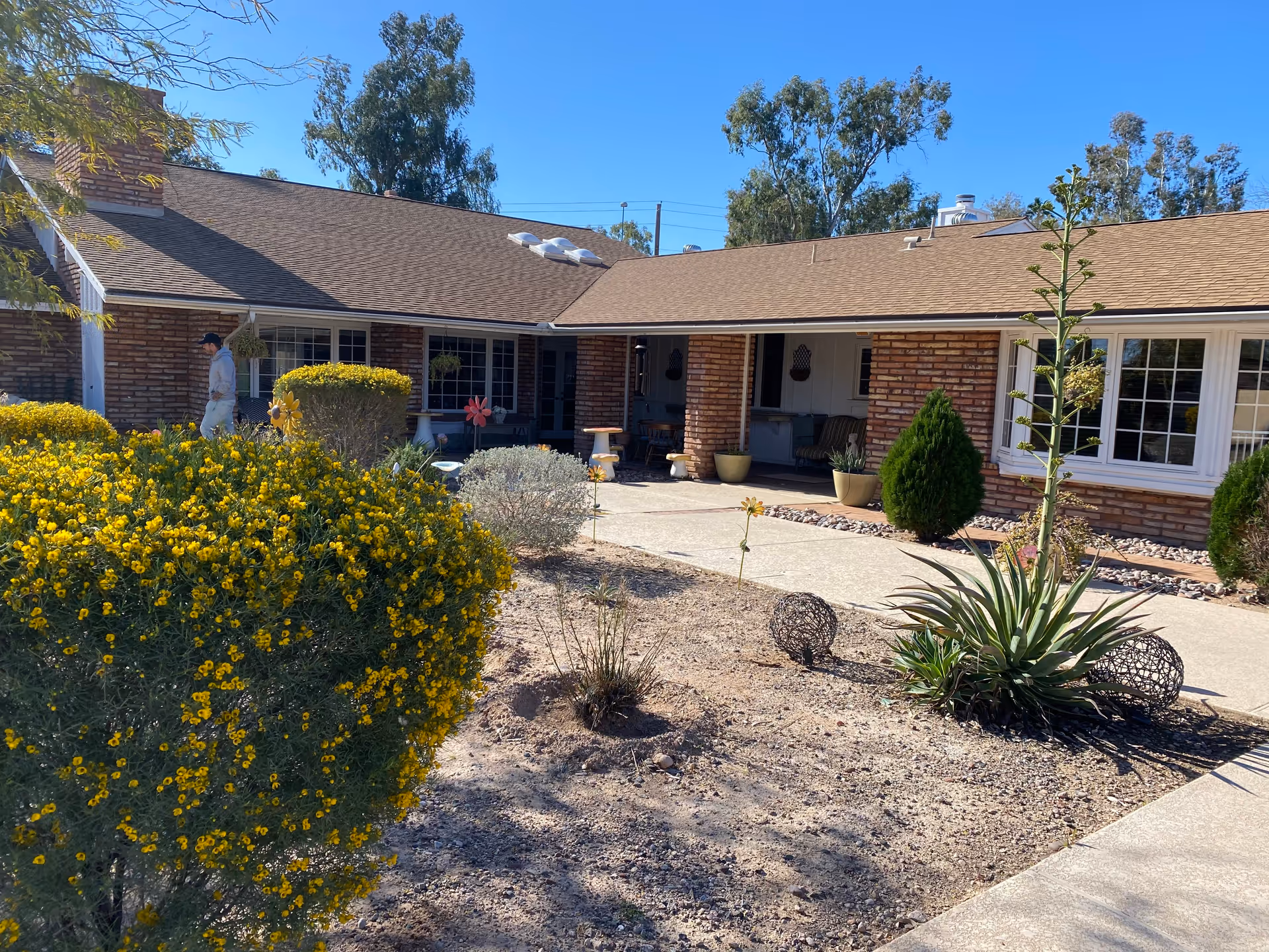 Exterior view of a single-story brick building with a brown shingled roof, surrounded by a garden with various plants and bushes, including a large bush with yellow flowers. A person is walking near the building under a clear blue sky.