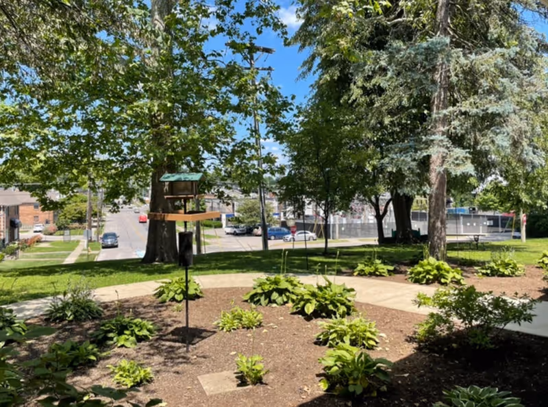 Garden courtyard with trees, walkways, planted hostas and a bird feeder, with a street and parked cars visible beyond.