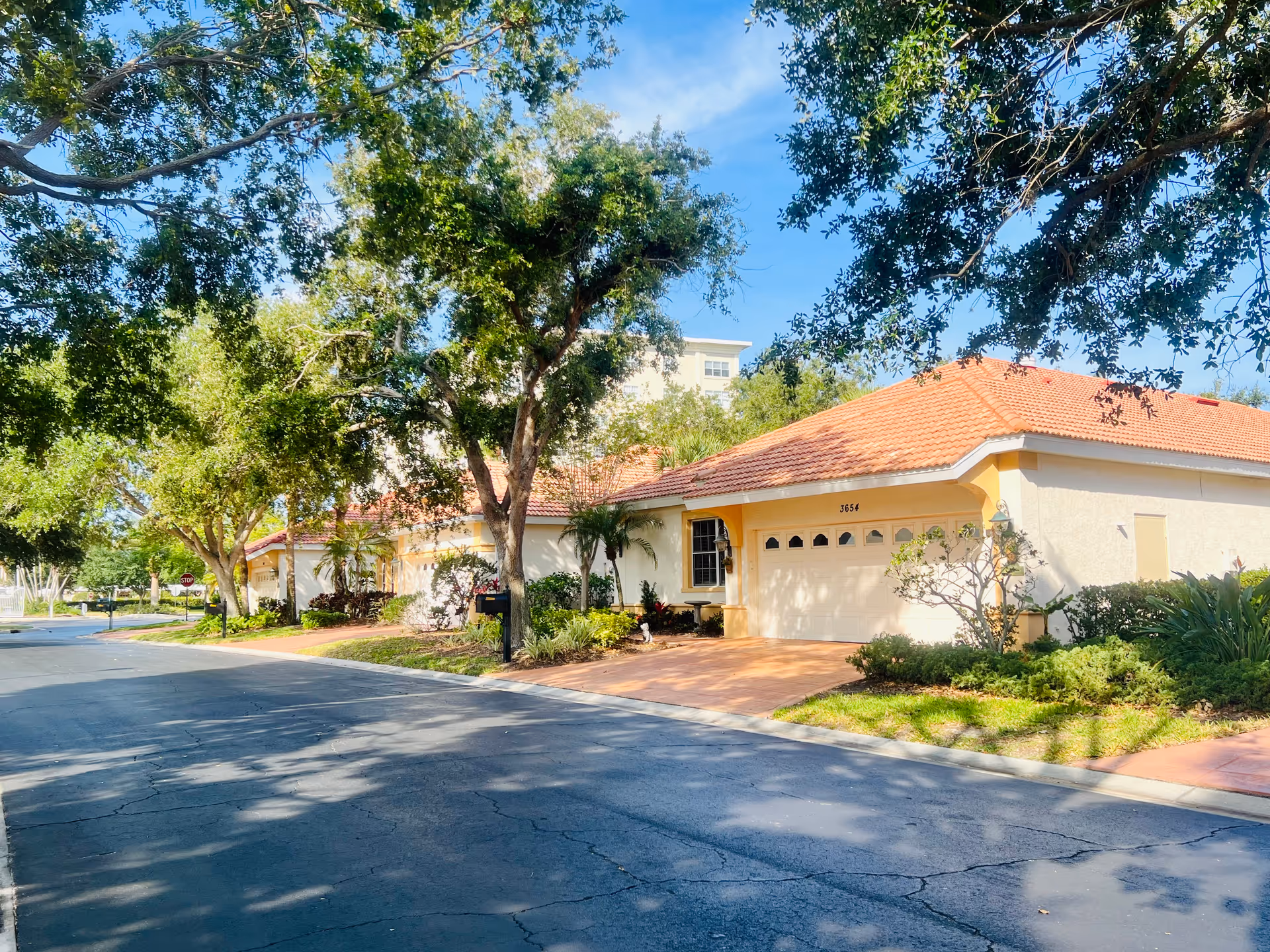 Street view of a residential area in Jacaranda Trace with single-story houses featuring light-colored walls and red-tiled roofs, surrounded by trees and greenery under a clear blue sky.