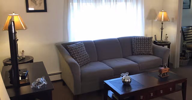 A cozy living room with a gray upholstered sofa adorned with two patterned cushions. In front of the sofa is a dark wooden coffee table with decorative items on it. To the left, there is a side table with a lamp and a glass turtle figurine. Another side table with a lamp is on the right side of the sofa. The room has a window with sheer white curtains allowing natural light to enter.