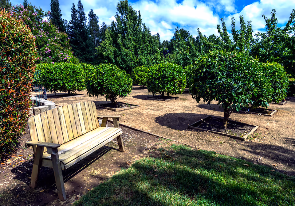 A wooden bench in a garden area with neatly trimmed small trees planted in square plots. The sky is partly cloudy with blue patches, and there is a mix of grass and dirt ground around the bench and trees.