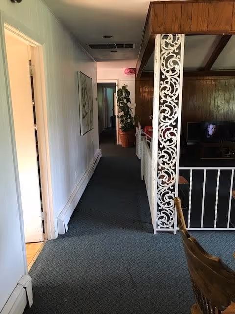 Interior view of a hallway in a senior living facility with carpeted floor, white walls, and a decorative white metal railing separating the hallway from a living area with wood-paneled walls and a television. A potted plant is visible at the end of the hallway.