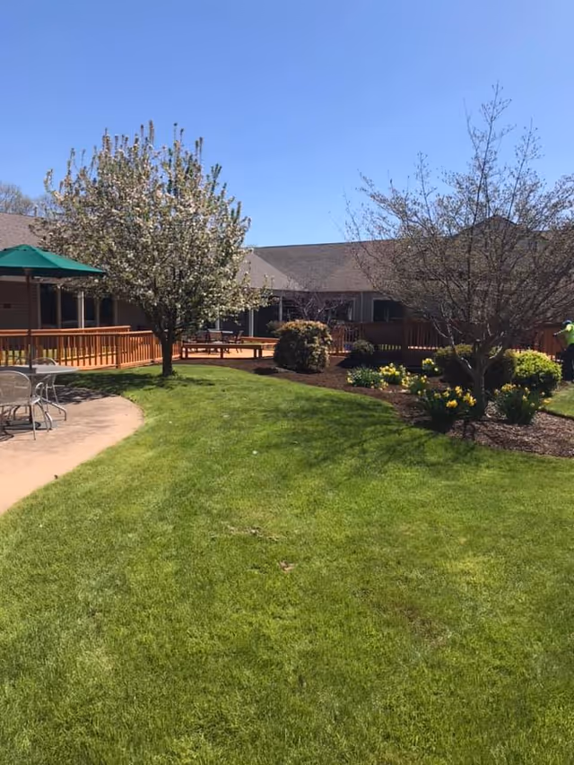 Sunny courtyard with a green lawn, blooming trees, patio tables and a wooden deck in front of a low building.