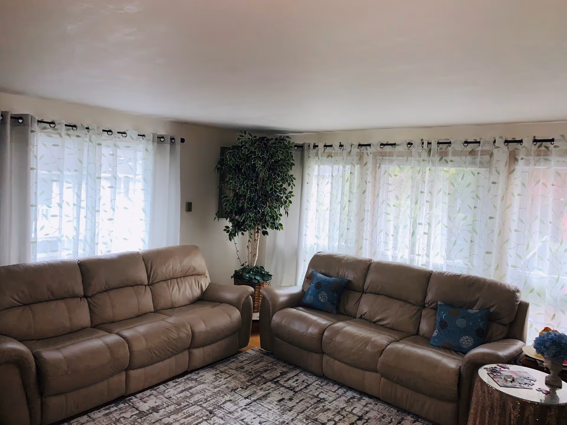 A living room with two beige leather sofas facing each other, each with decorative blue pillows. Sheer white curtains with a leaf pattern cover the windows behind the sofas. A tall green potted plant is placed in the corner between the sofas. A patterned area rug covers the wooden floor, and a small round table with a floral arrangement and some magazines is visible on the right side.