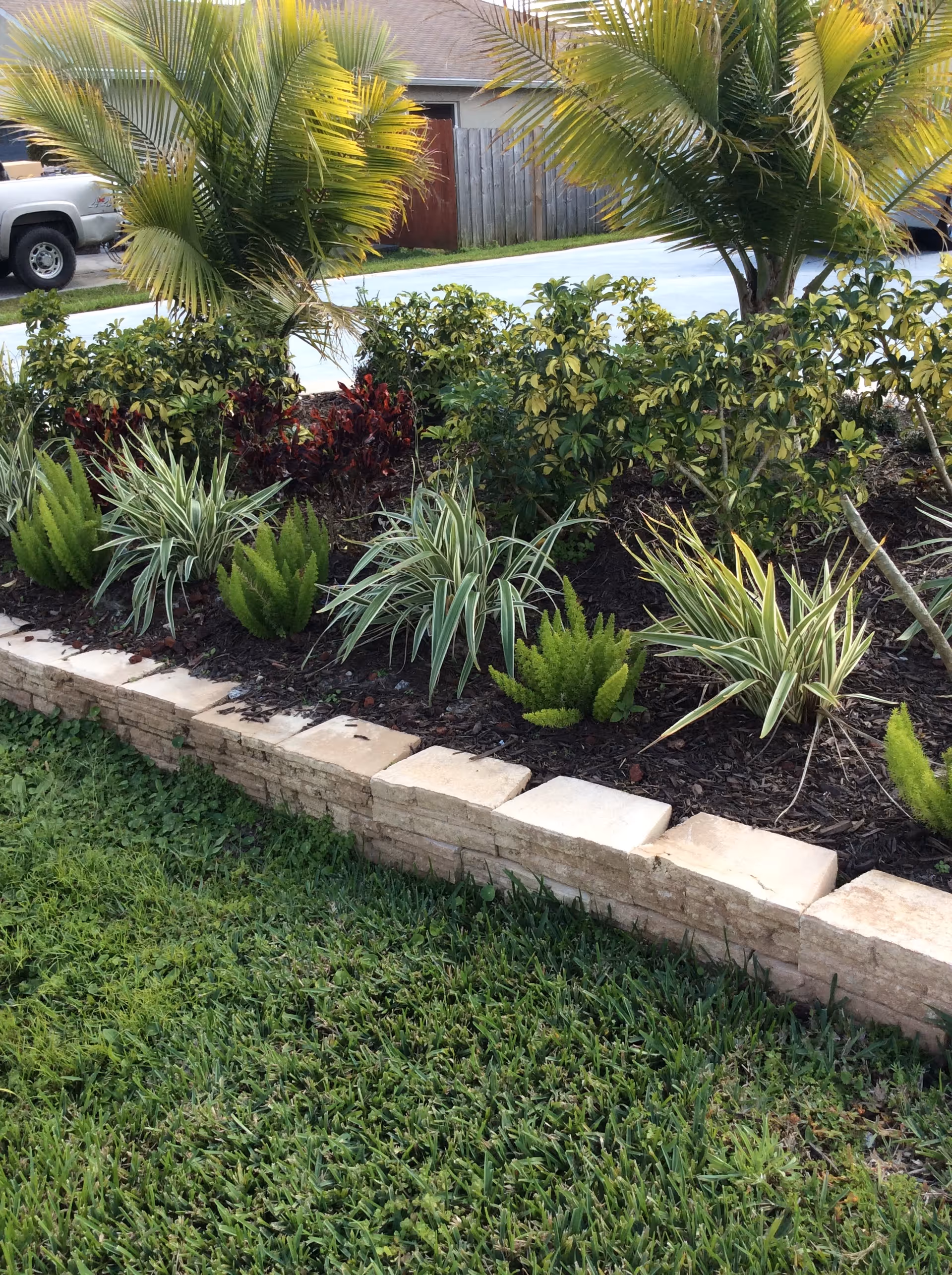 A landscaped garden bed with various green plants and small palm trees bordered by a low stone wall, with a grassy lawn in the foreground and a driveway and fence in the background.