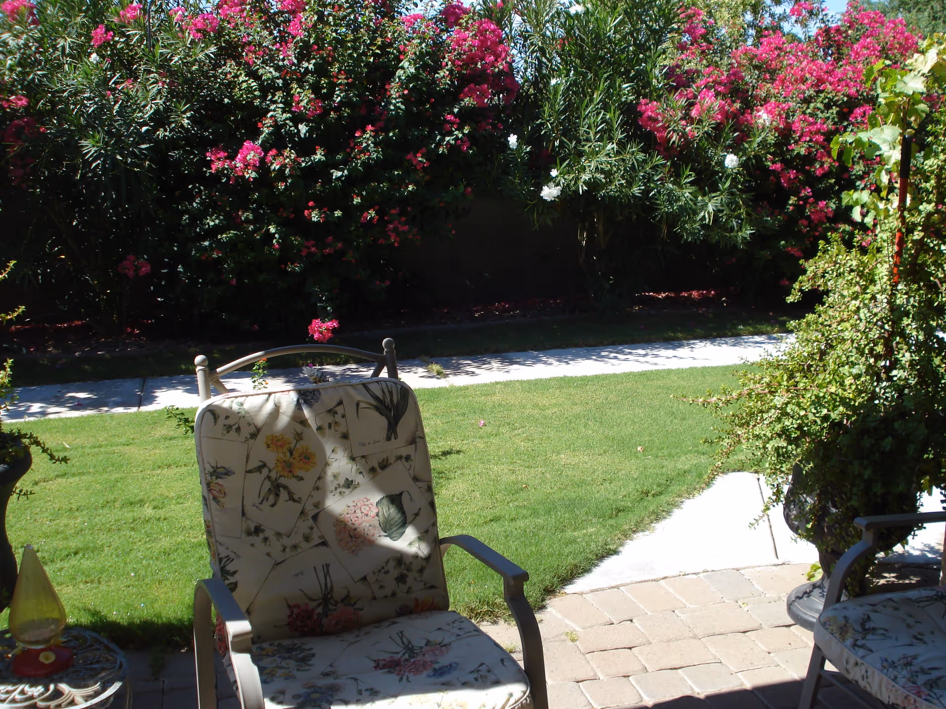 Outdoor patio area with cushioned chairs featuring floral patterns, a small table with a decorative item, green grass lawn, and vibrant flowering bushes in the background.