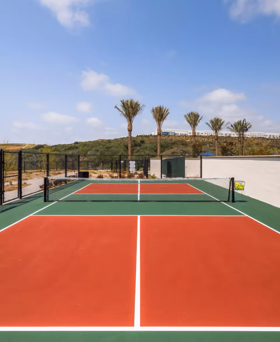 Outdoor red-and-green pickleball/tennis court with a net, palm trees and hills in the background under a blue sky.