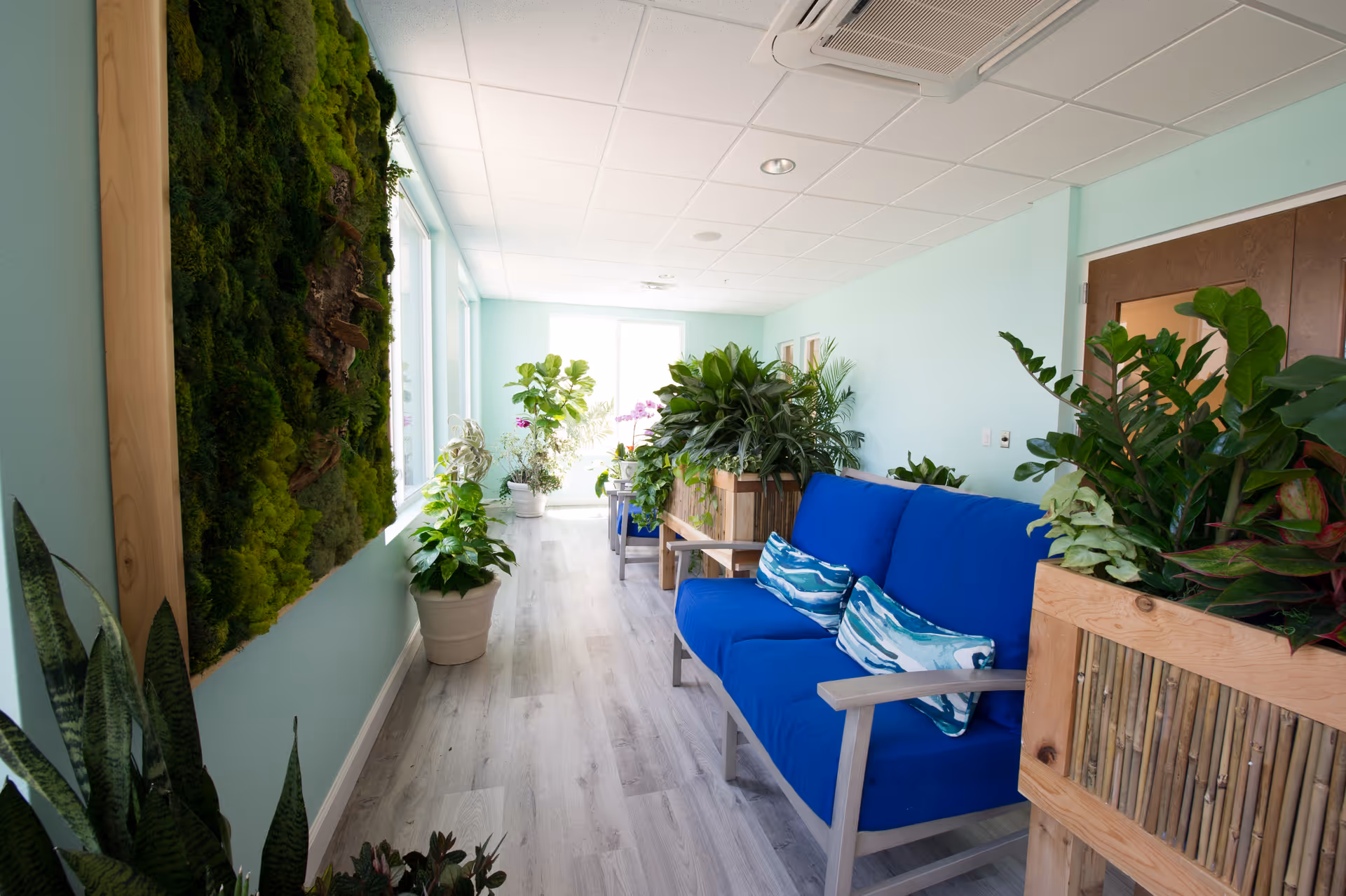 A bright indoor hallway with light blue walls and large windows on the left side letting in natural light. The hallway features a blue cushioned bench with two decorative pillows, surrounded by various green potted plants and wooden planters. A green moss wall art piece is mounted on the left wall. The floor is light-colored wood, and the ceiling has recessed lighting and an air vent.