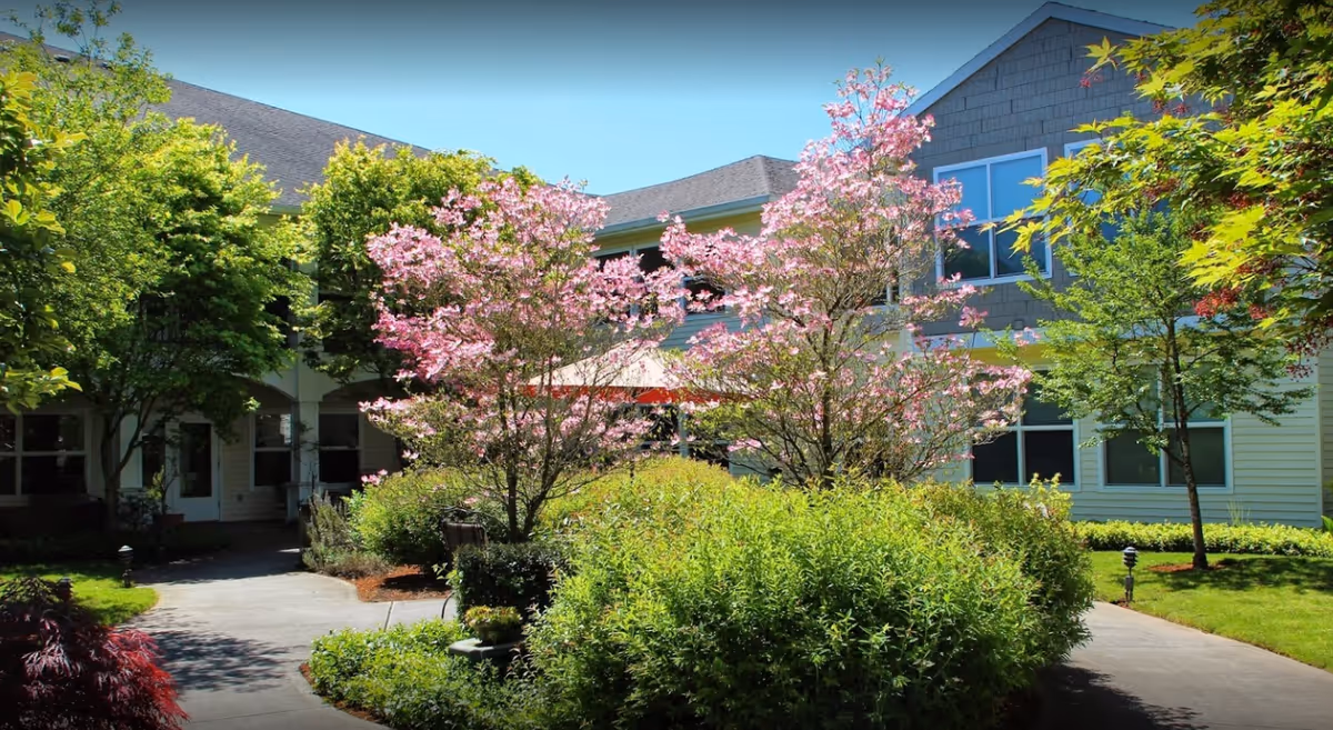 Outdoor garden area at Prestige Senior Living Bridgewood featuring a paved walkway surrounded by lush green bushes, trees with pink blossoms, and a building with multiple windows in the background under a clear blue sky.