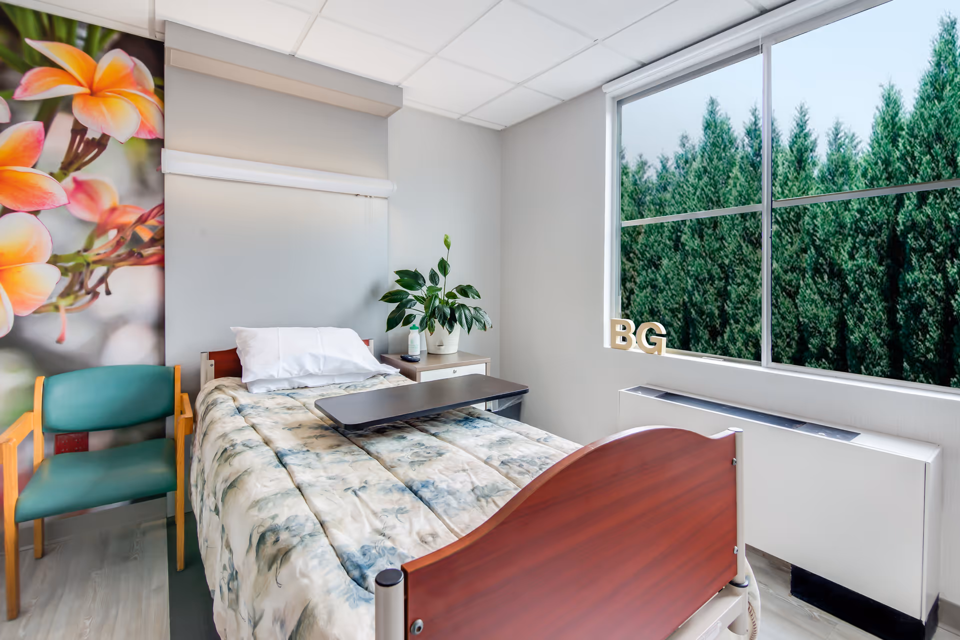 A single-occupancy nursing facility bedroom with a bed, overbed table, chair, potted plant, and a large window showing greenery outside.