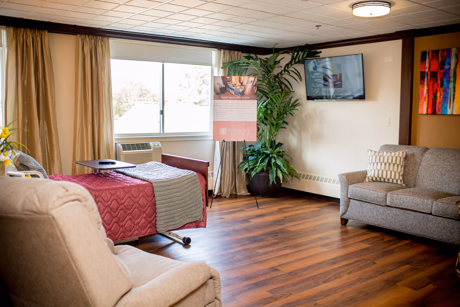 A cozy living room area with a beige armchair and a gray sofa with a patterned pillow. There is a hospital-style bed with a red quilt and gray blanket near a window with beige curtains. A large potted plant and a TV mounted on the wall are also visible, along with a colorful abstract painting on the right wall.
