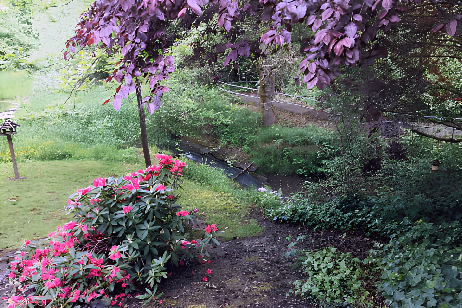 A lush garden area with vibrant pink flowers in the foreground, a small stream running through the middle, and various green plants and trees surrounding the area. A pathway with a railing is visible in the background.