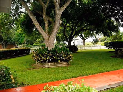 Outdoor garden area at Fort Bend Healthcare Center with trees, lawn, shrubs, and a red walkway.