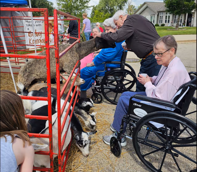Several elderly individuals, some in wheelchairs, are interacting with animals in a small petting zoo enclosure outdoors. A man is petting a sheep, while goats are visible inside the red metal enclosure. Other people, including a child, are nearby observing and engaging with the animals. The setting appears to be a senior living facility with houses and trees in the background.