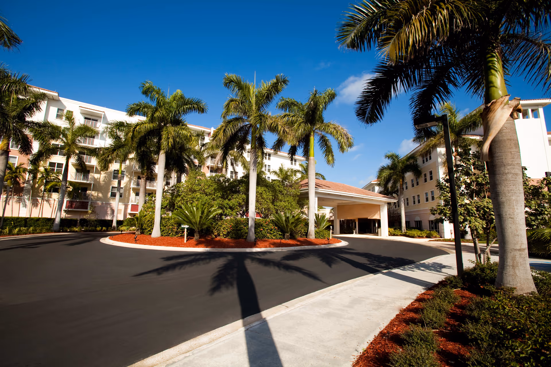 Exterior view of a senior living facility named Mangrove Bay with a circular driveway lined with palm trees and landscaped greenery under a clear blue sky.