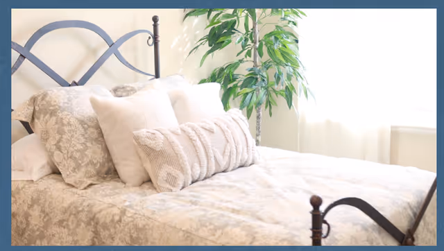 A neatly made bed with patterned bedding and multiple pillows, including a textured lumbar pillow, in a bright room with a large window and a green leafy plant beside the bed.