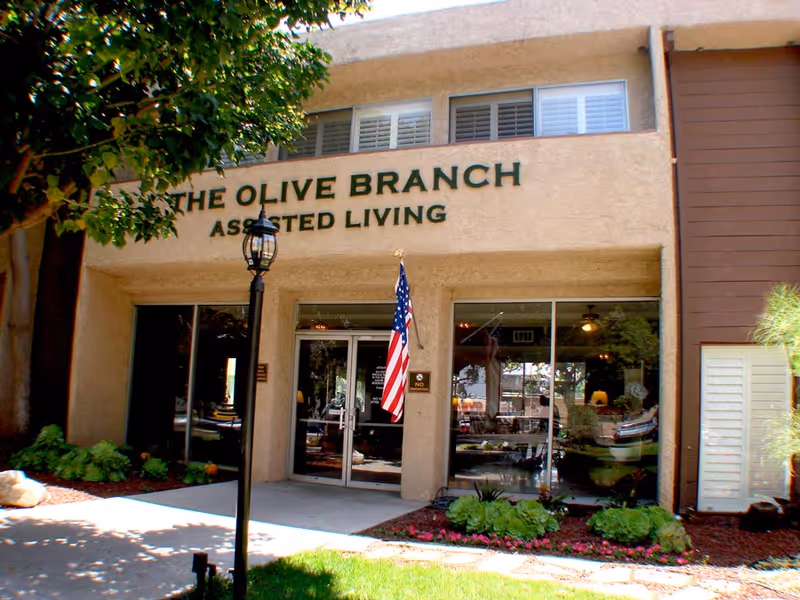Exterior front entrance of The Olive Branch Assisted Living facility with glass doors, an American flag, a lamp post, and surrounding greenery including bushes and a tree.