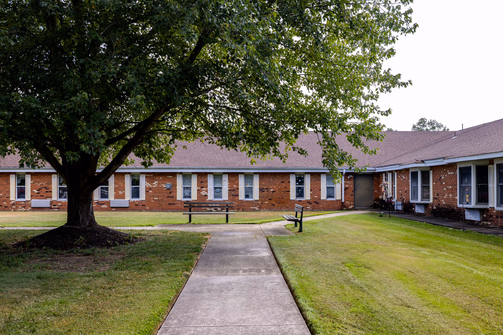 A courtyard area of a senior living facility with a large tree on the left, two benches facing each other along a concrete pathway, and a brick building with multiple windows in the background.