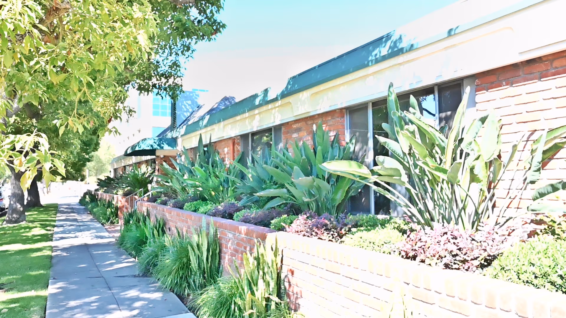Single-story brick building front with raised planter beds filled with large leafy plants and a tree-lined sidewalk.