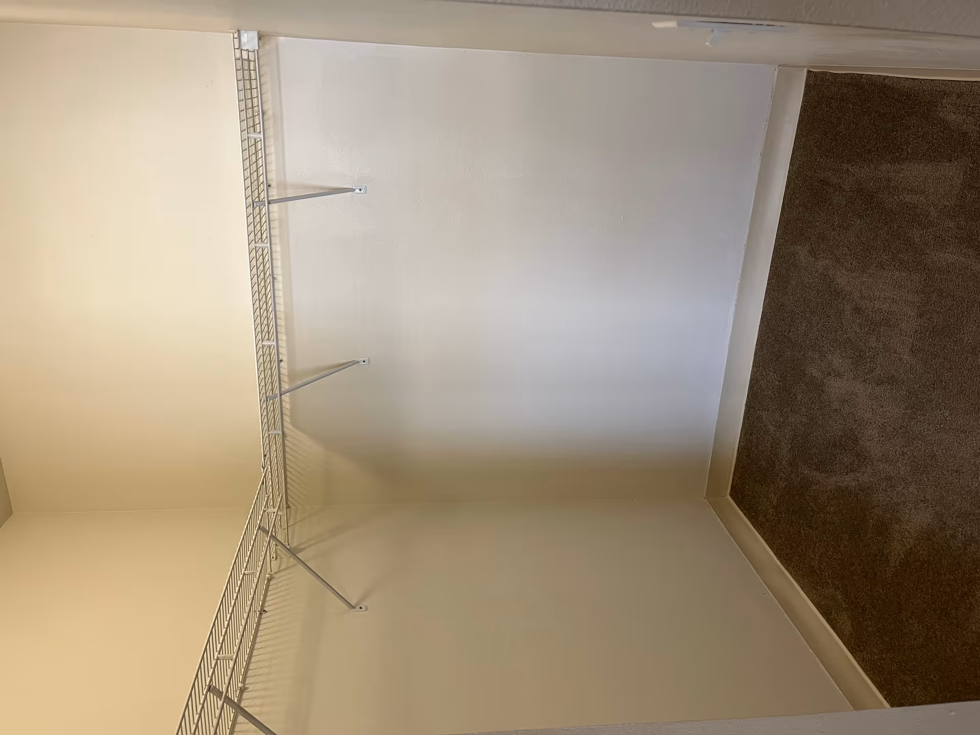 Empty walk-in closet with beige walls, brown carpeted floor, and white wire shelving along two walls.