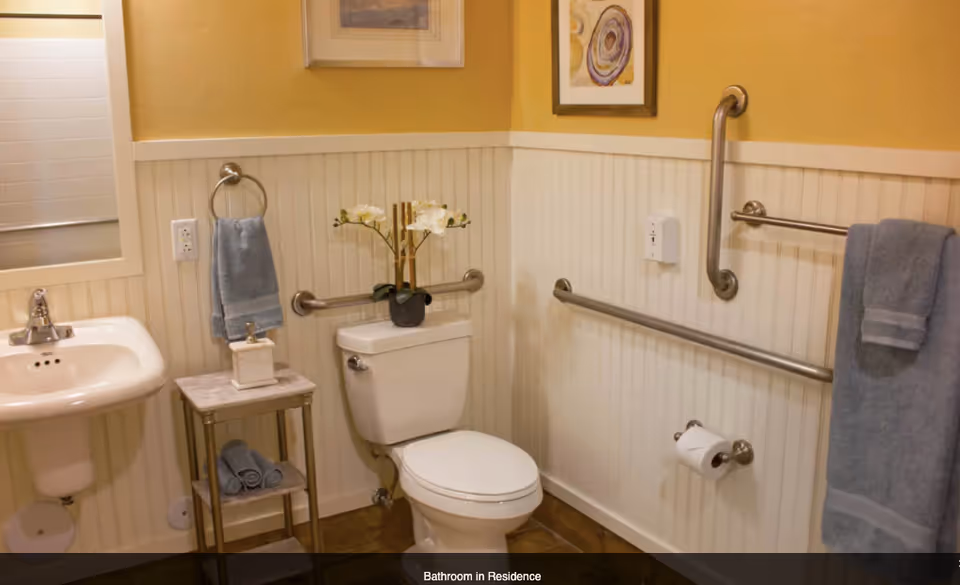 Accessible bathroom with a toilet, sink, grab bars, towels, and a small side table with a plant.