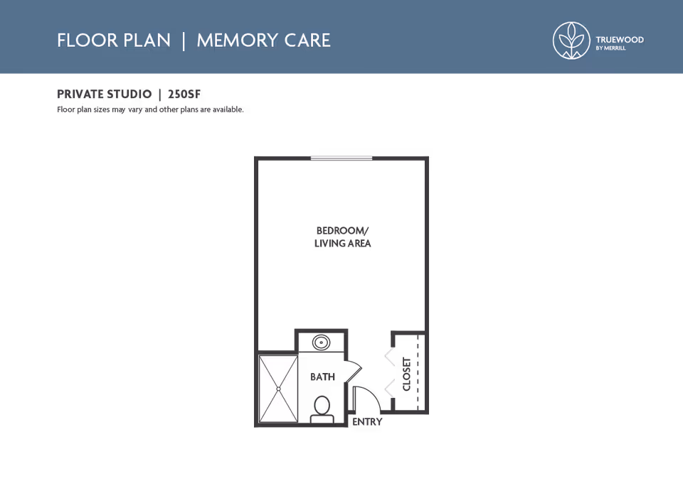 Black diagram of a 250 sq ft memory care private studio floor plan showing a combined bedroom/living area, bath, closet, and entry.