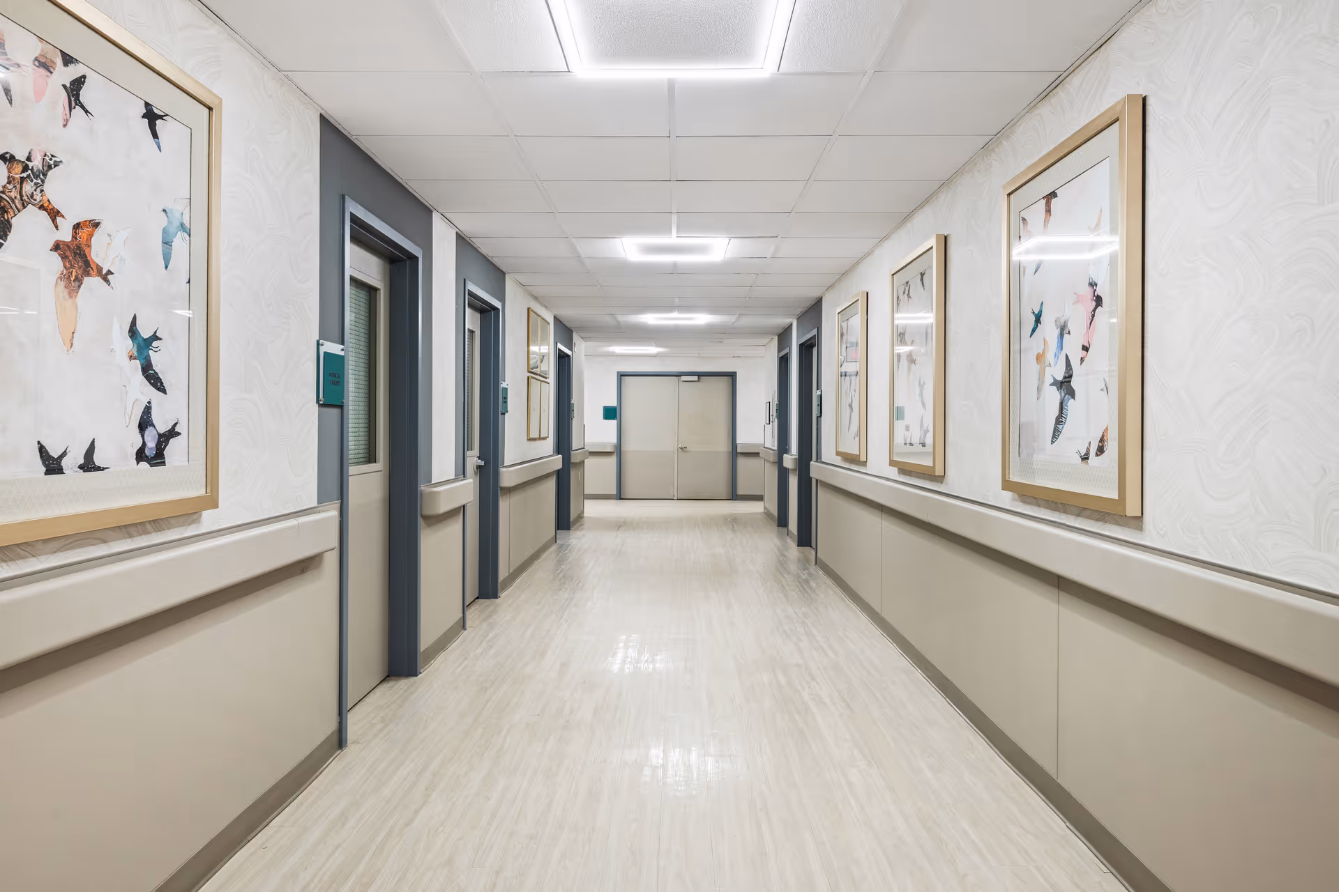 A clean, well-lit hallway in a healthcare facility with beige walls, light wood flooring, and several closed doors on both sides. The walls are decorated with framed artwork featuring birds in flight. The ceiling has recessed lighting and a drop ceiling design.