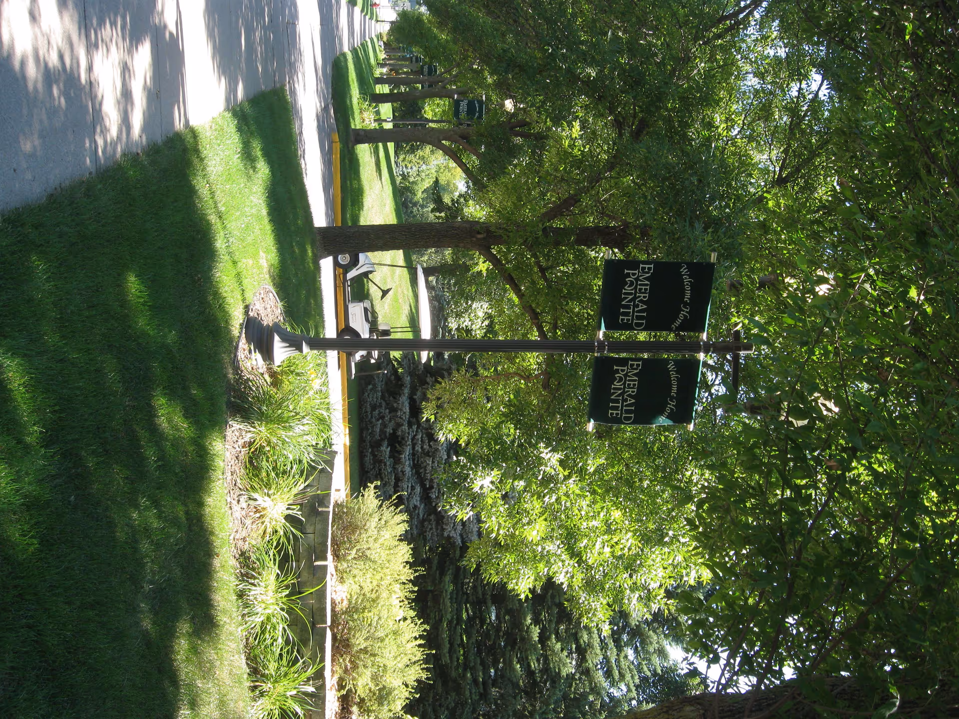 Tree-lined sidewalk and grassy landscaping with a lamppost displaying green 'Emerald Pointe' signs.