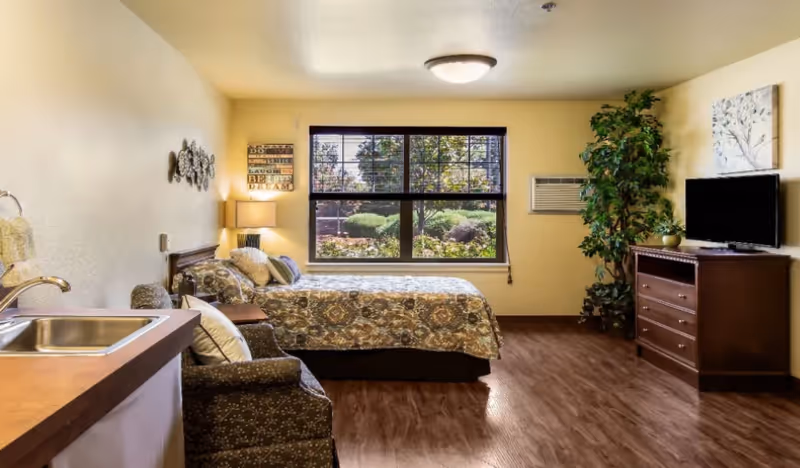 A cozy bedroom in Amber Grove Place Memory Care featuring a bed with patterned bedding, a cushioned armchair, a wooden dresser with a TV on top, a large window with a view of greenery outside, a potted plant, and a small sink area in the corner.