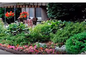 A garden area with various green shrubs and colorful flowers in the foreground. In the background, there is a patio with outdoor furniture including chairs and a table under an awning. Red hanging flower baskets are also visible near the patio.