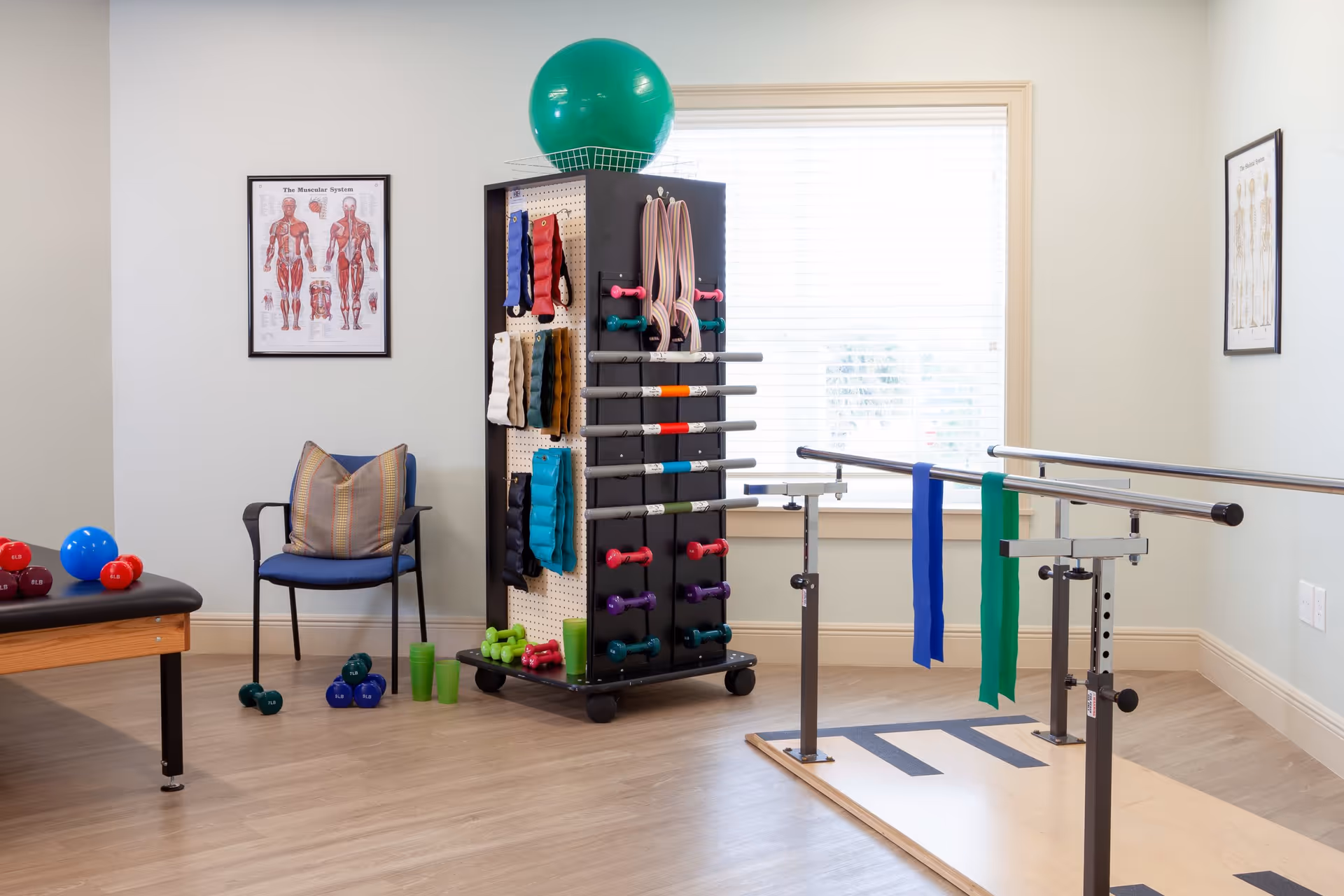 A physical therapy or exercise room with various fitness equipment including dumbbells, resistance bands, a green exercise ball on top of a storage rack, and parallel bars for walking exercises. There is a blue chair with a pillow, anatomical posters on the walls, and a large window with blinds letting in natural light.
