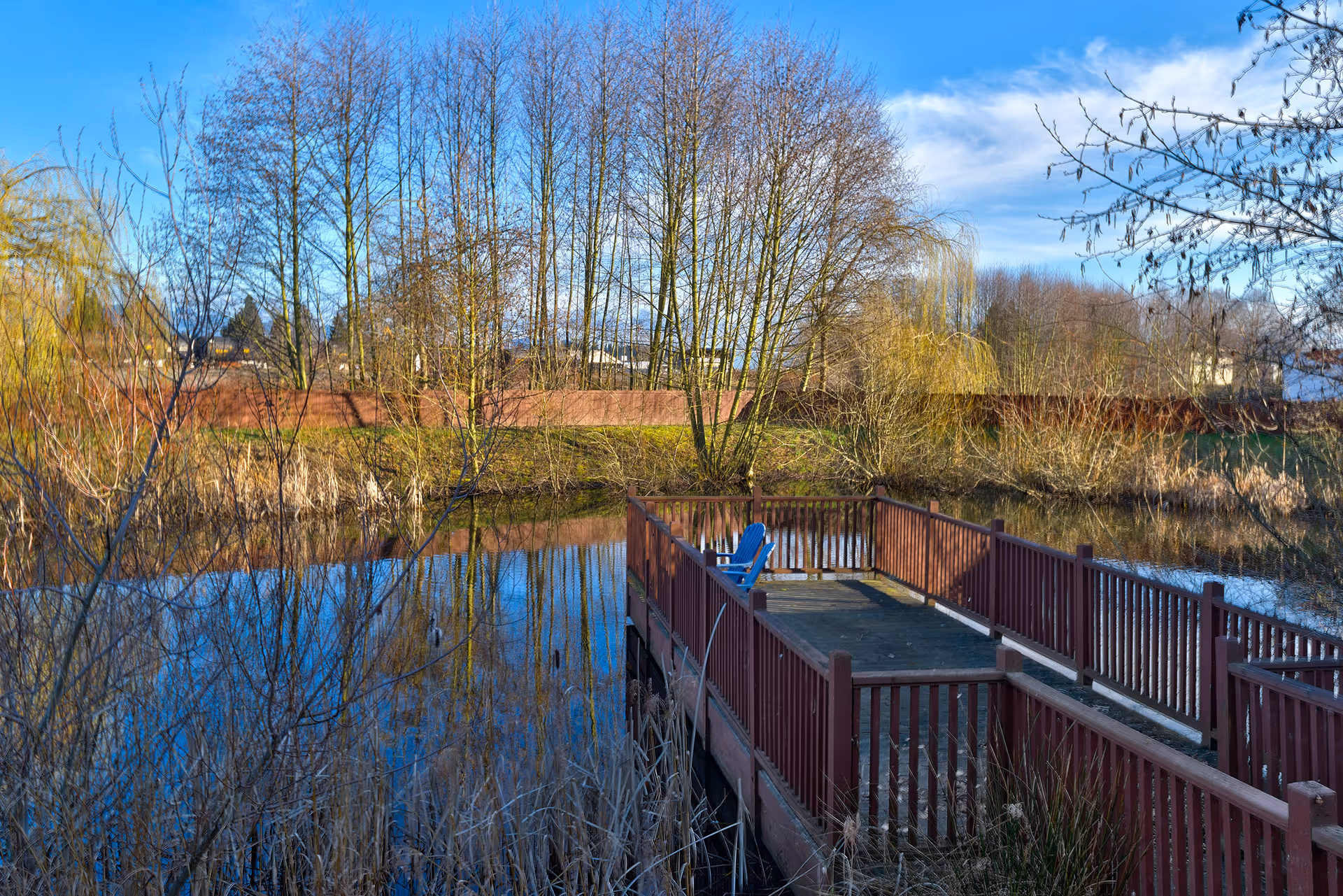 A wooden dock extending over a calm pond surrounded by leafless trees and dry vegetation under a blue sky. There is a single blue chair placed on the dock.