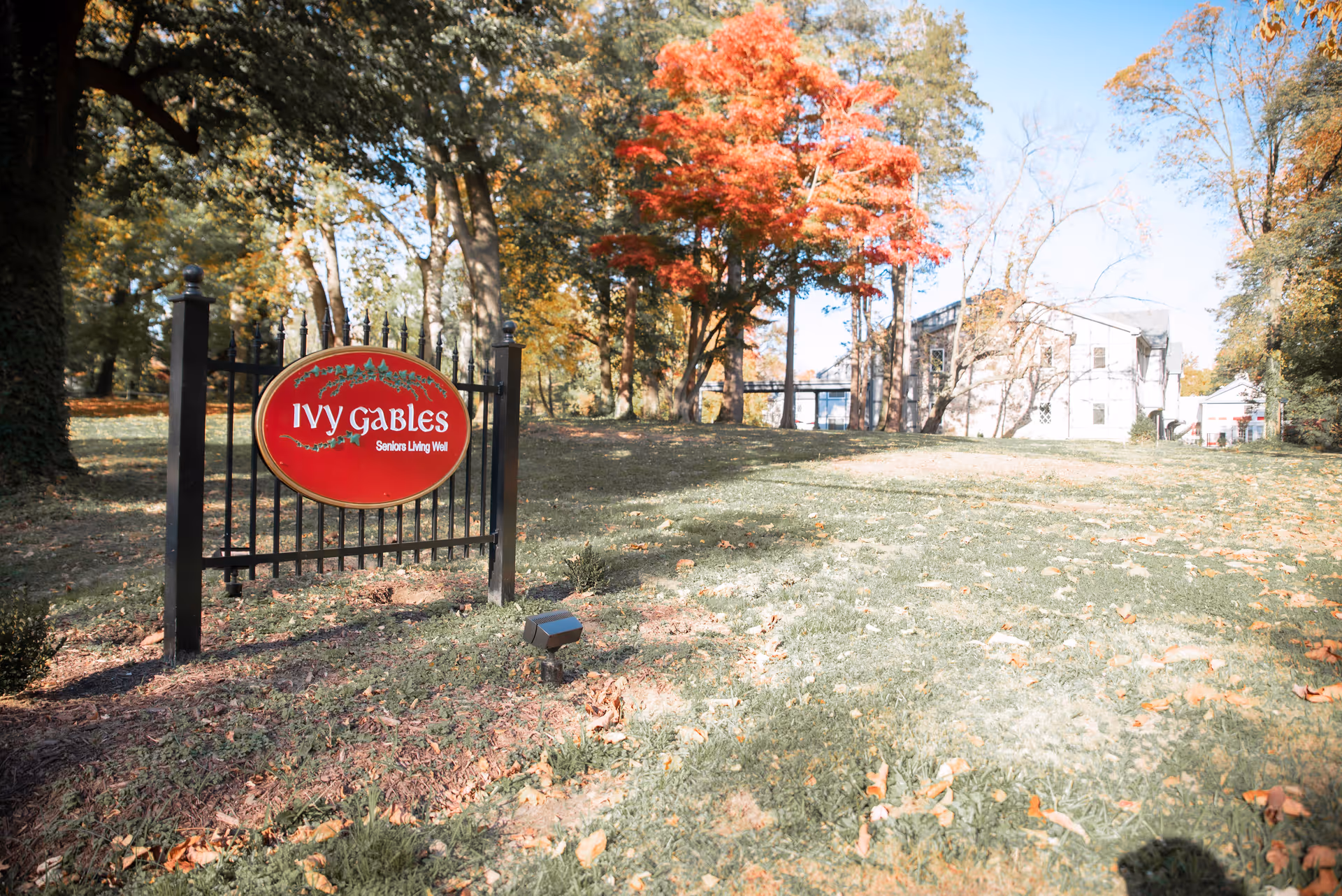 Outdoor view of a senior living facility named Ivy Gables with a red sign mounted on a black metal fence. The area is grassy with scattered fallen leaves and surrounded by trees, some with autumn-colored foliage. A building is visible in the background under a clear blue sky.