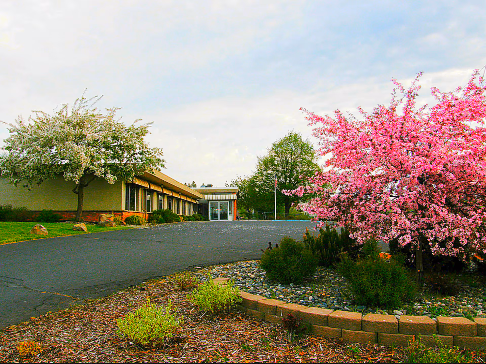 Exterior view of a single-story building with a paved driveway and landscaped garden featuring blooming pink and white trees under a cloudy sky.