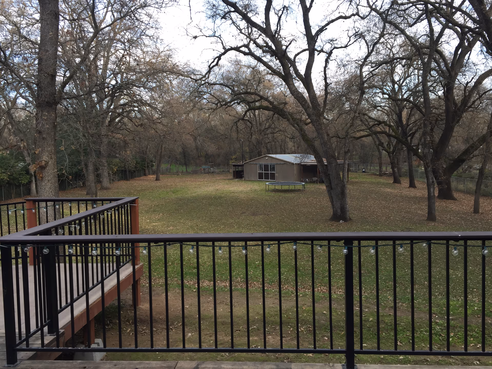 View from a balcony with black metal railing overlooking a large grassy yard with scattered fallen leaves, several leafless trees, and a small brown building in the background. A trampoline is visible near the building.