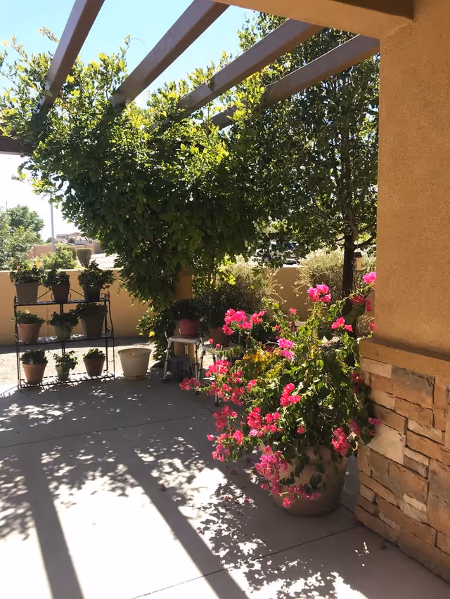 Outdoor patio area with a pergola overhead casting shadows on the concrete floor. There are several potted plants and flowers, including a large pot with bright pink flowers in the foreground and a metal plant stand with multiple smaller pots in the background. Trees and greenery surround the area, creating a lush garden atmosphere.