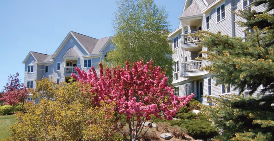 Exterior view of a multi-story residential building with balconies and colorful flowering trees and landscaped shrubs in the front yard.