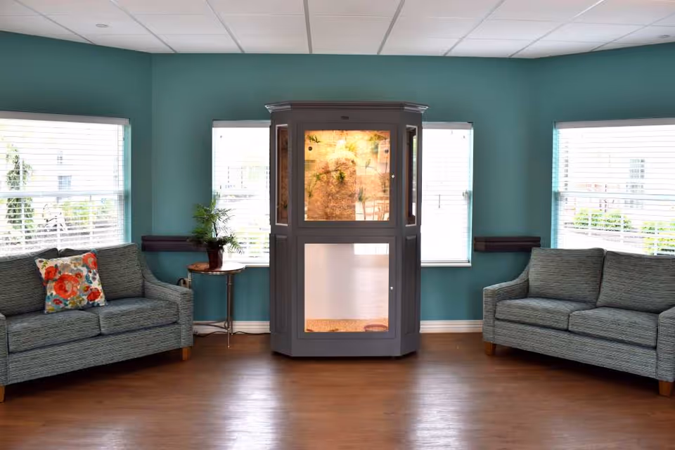 A cozy living room with teal walls and three large windows with white blinds. There are two gray sofas facing each other, one with a colorful floral pillow. Between the windows is a large gray cabinet with glass panels, possibly an aquarium or terrarium. A small round wooden side table with a potted plant is next to one sofa. The floor is wooden and the ceiling has white tiles.